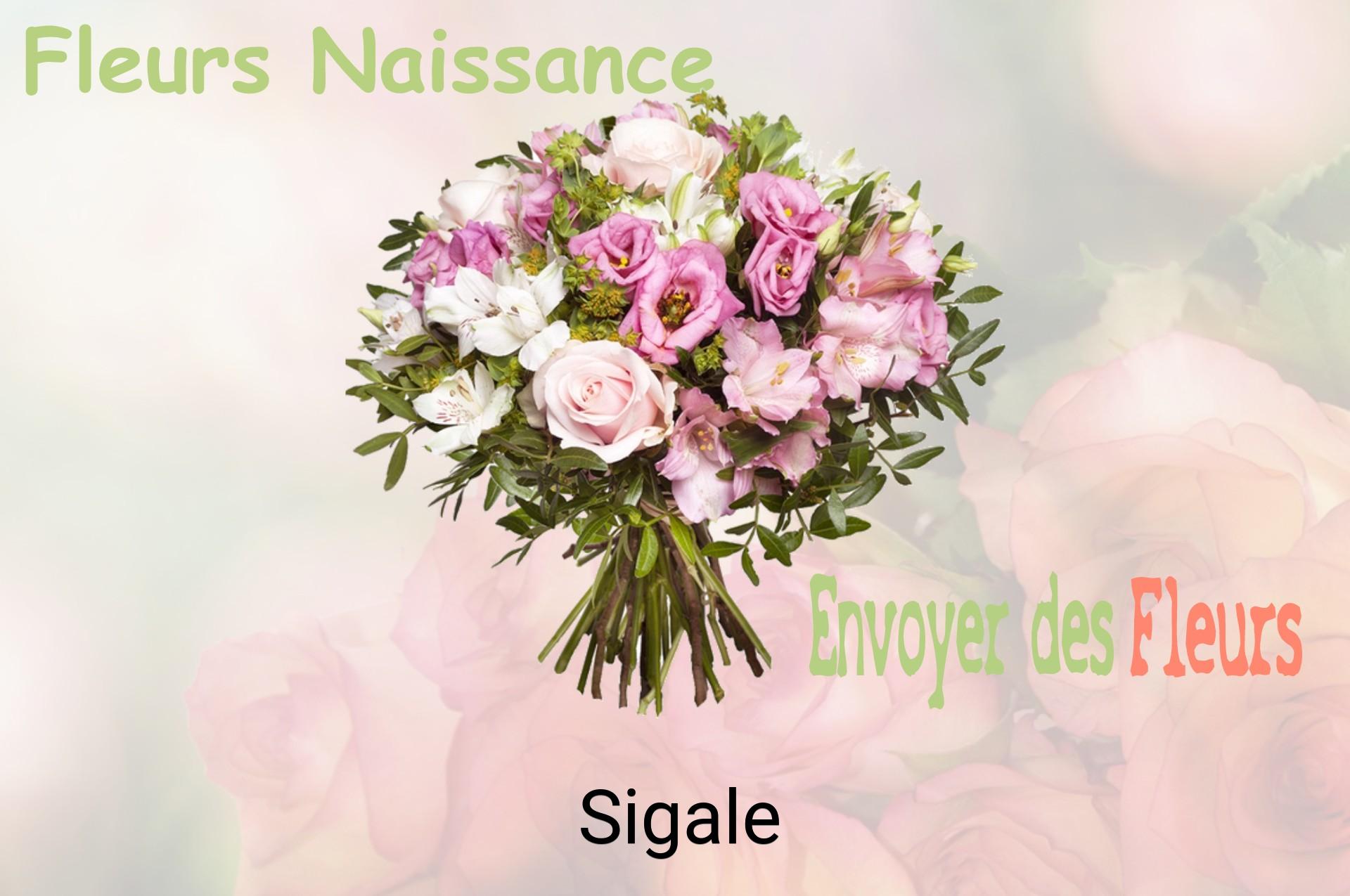 Bouquet de fleurs de naissance livré à Sigale